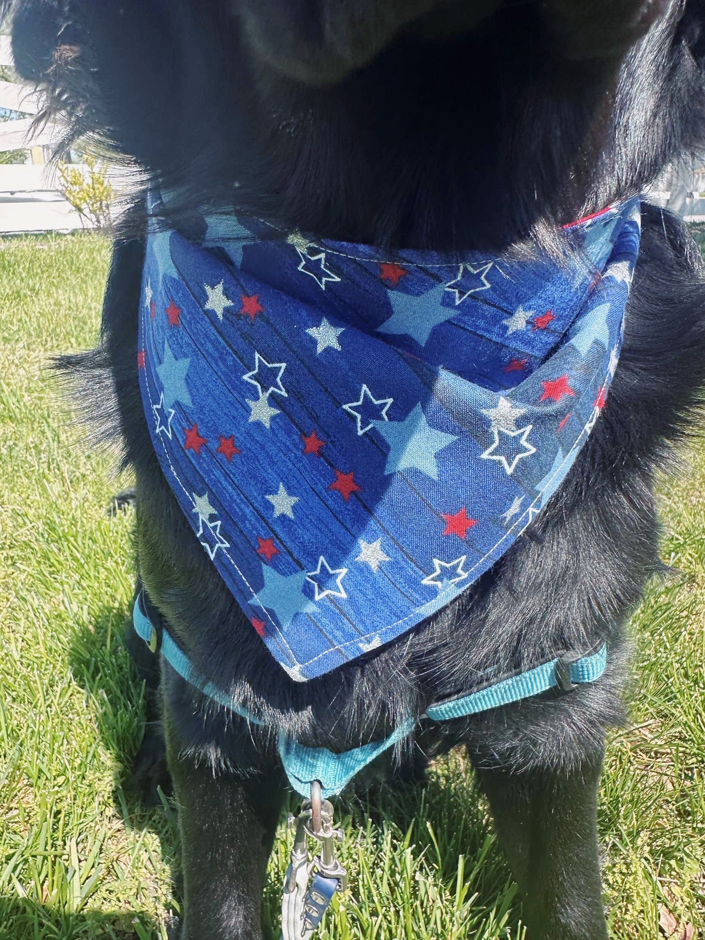 Fourth of July Stars